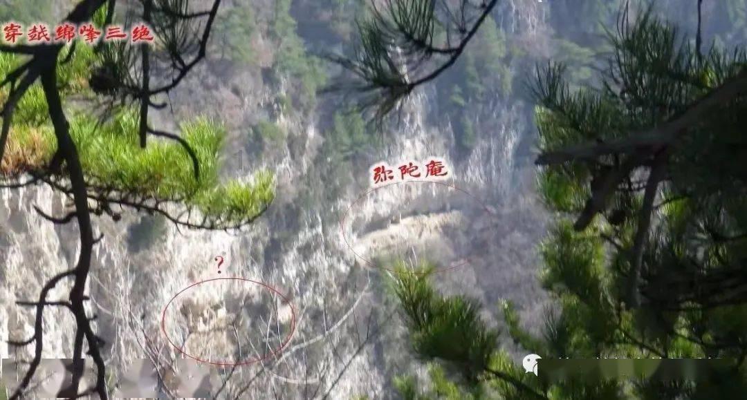扬科维奇下课倒计时！崔康熙无缘入选，足协主席宋凯青睐德国教练
